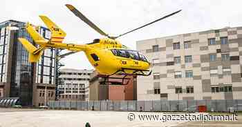 Sorbolo, cade da una pianta: grave un 59enne - Gazzetta di Parma