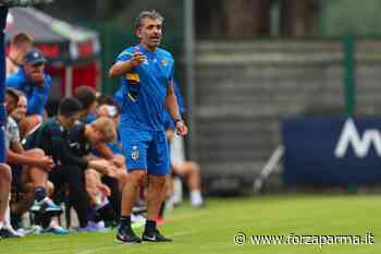 Pecchia ha portato con sé il concetto di riaggressione - Forza Parma