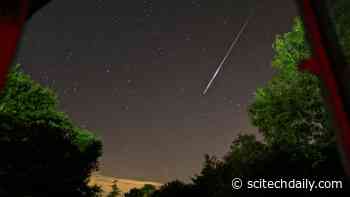 Don’t Miss: Planet Viewing, Perseids Outlook, and Flying With Cygnus the Swan