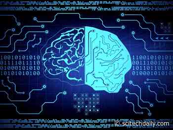 Scientists Discover Biological Differences Between Liberals and Conservatives