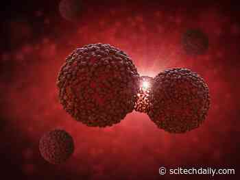 Why Do Cancer Cells Need Fat?