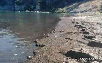 Agropoli, posidonia torna sulla spiaggia della Marina - Info Cilento