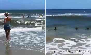 Swimmers dash out of ocean off Florida beach after shark sighting - Daily Mail