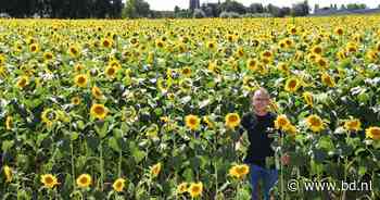 Dénis Mulders kleurt Oisterwijk geel: 'Het is hier net de Tour de France' - BD.nl