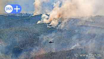 Grüner aus Dresden will Sachsen kontrolliert abbrennen lassen - Dresdner Neueste Nachrichten