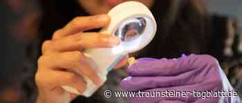 Was Neandertaler essen - Traunsteiner Tagblatt