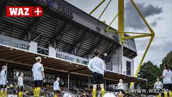 Darum muss die SGS Essen den BVB und Schalke fürchten - WAZ News