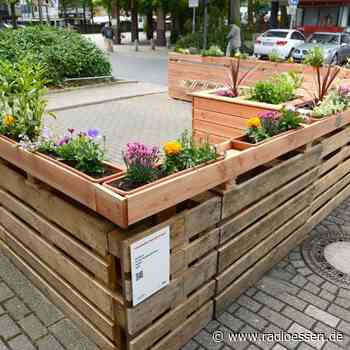 Plaudern statt Parken in Essen: Stadtteil bekommt Stadtterrassen - Radio Essen