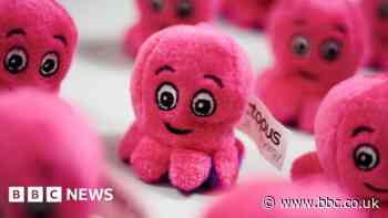 Octopus Energy asks government for £1bn to buy Bulb