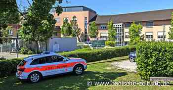 Labor-Pläne stoßen auf Kritik - Breisach - badische-zeitung.de