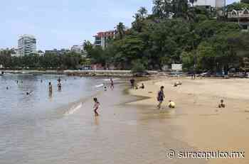 Piden hoteleros concretar la conversión de Manzanillo en una playa incluyente - El Sur Acapulco suracapulco I Noticias Acapulco Guerrero - El Sur de Acapulco