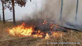 Feuer: Ödlandbrand bei Genthin wird zum Waldbrand - Volksstimme