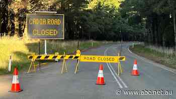 Extraction halted, evacuation carried out after underground incident at one of Australia's largest gold mines