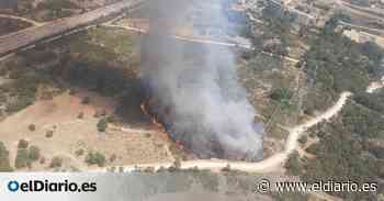 Solo Zamora tiene fuegos activos en Castilla y León: los dos focos de Losacio y un incendio declarado en Asturianos - elDiario.es