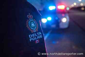 'Prolific' Ladner tagger arrested by Delta police - North Delta Reporter
