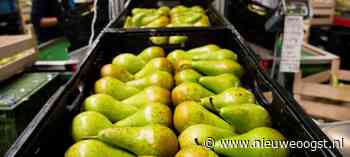 Peer minder populair in Europese Unie - NieuweOogst.nu