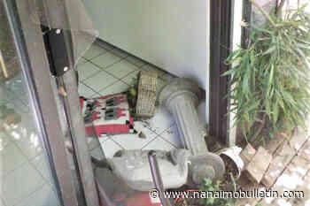 Keep doors shut to avoid a bear home invasion during hot weather: Conservation Officers