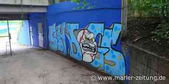 Zukunft des Jahnstadiongeländes in Marl - Jetzt antwortet die Stadtverwaltung - Marler Zeitung