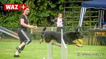 Beim Schäferhundverein in Heiligenhaus geht’s sportlich zu - WAZ News