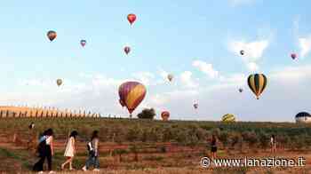 Cento mongofiere nel cielo: la magia dell'Italian Balloon Gran Prix - LA NAZIONE