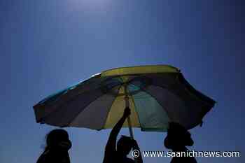 New B.C.-based technology may help diagnose skin cancer sooner - Saanich News