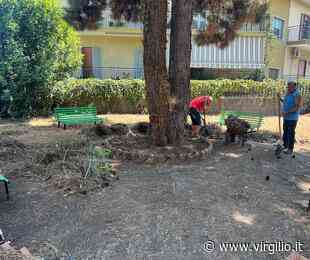 Giarre, ripulita villetta di via Aldo Moro: 'Gesto d'amore per la città' - Virgilio