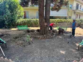 Giarre, ripulita villetta di via Aldo Moro: “Gesto d’amore per la città” - Livesicilia.it