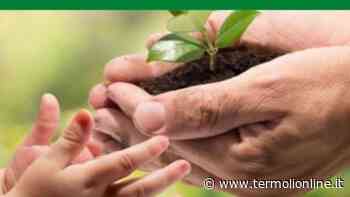 Agricoltura, opportunità per i giovani dal Psr Molise - Termoli Online