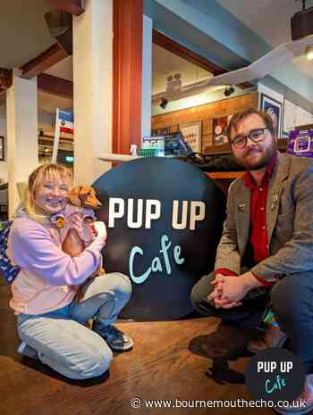 Dachshund Pop Up Cafe at Revolution in Bournemouth