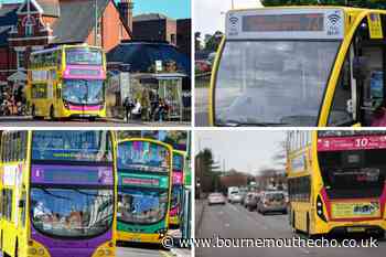 Yellow Buses: key information on BCP service changes