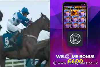 'Irresponsible' Coral and Wolf Gold gambling ads banned | Dudley News - Dudley News