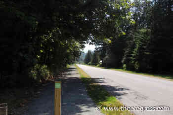 Harrison officials seek to strengthen urban forest - Chilliwack Progress