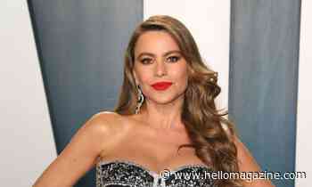 AGT star Sofia Vergara makes fans emotional with unexpected baby photo in latest tribute - HELLO!