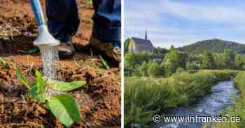 Bis zu 50.000 Euro Bußgeld drohen: Was Garten-Besitzer jetzt beim Gießen beachten müssen