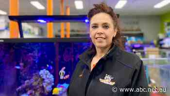 Rising costs, labour shortages and supply chain issues savaging regional businesses, report says