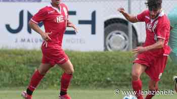 Collodel: "Non si può dire no al Siena Sta nascendo un gruppo affiatato" - LA NAZIONE