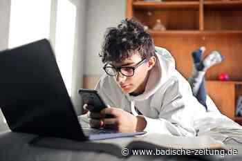 Warum soll man im Internet vorsichtig sein? - Erklär's mir - badische-zeitung.de