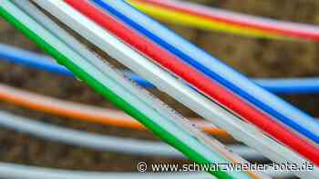 Schnelles Internet - Der Jackpot für Winterlingen - Schwarzwälder Bote