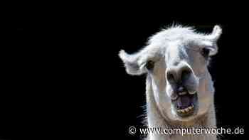 Winamp 2022: Eine Ikone kehrt zurück