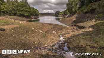 Driest July in England since 1935 - Met Office