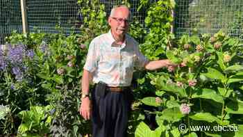Enthusiasm for naturalized yards, monarch conservation buoys Thunder Bay field naturalist