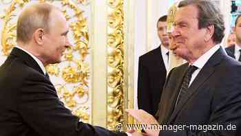 Siemens Energy: Im Turbinen-Streit widerspricht Olaf Scholz Altkanzler Gerhard Schröder entschieden