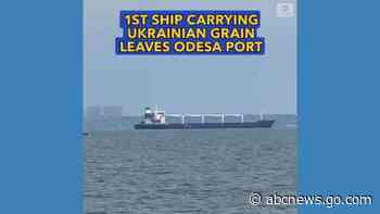 WATCH:  1st ship carrying Ukrainian grain leaves Odesa port