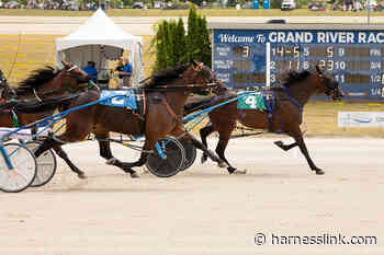 Industry Day Gold action at Grand River - Harnesslink