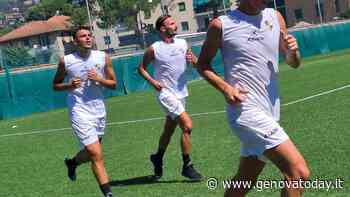 Primo allenamento per il Rapallo Ruentes - GenovaToday