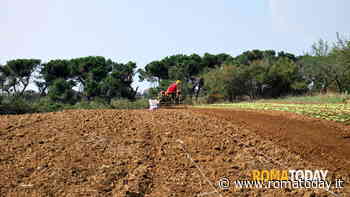 Agricoltura in crisi, produttori in regione: "Siamo in piena emergenza"