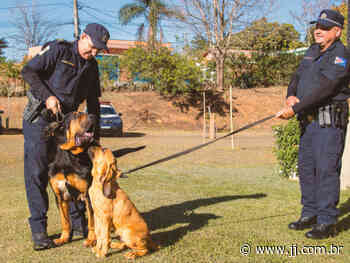 Canil da Guarda Civil Municipal de Itupeva realiza treinamento no Parque do Guacuri - Jornal de Jundiai