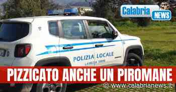 Lamezia, vasta operazione di controllo del territorio ad opera della Polizia Locale - Calabria News