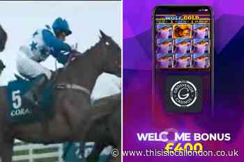 'Irresponsible' Coral and Wolf Gold gambling ads banned