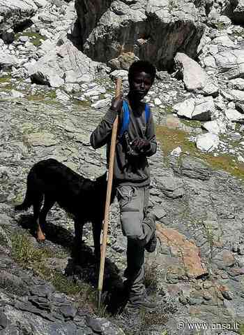 Cuneo, pastore perde il cane, appello social a escursionisti - Agenzia ANSA